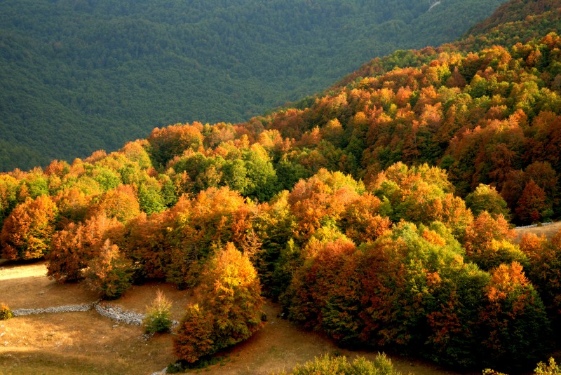 Colori d'autunno