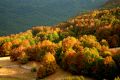 Colori d'autunno