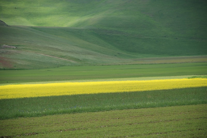 Piani di Castelluccio