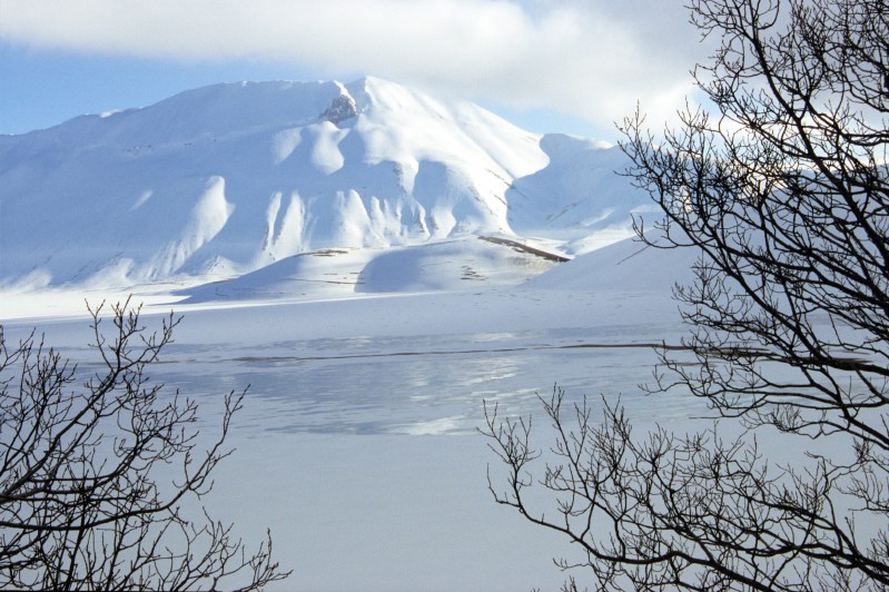  Vettore d'inverno