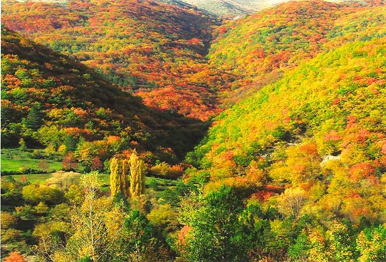 Colori d'autunno