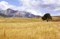  Monte bove veduta da Macereto