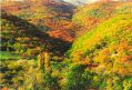 Colori d'autunno
