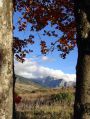Ancient Gate