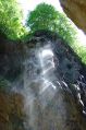 _Enchanting Roots