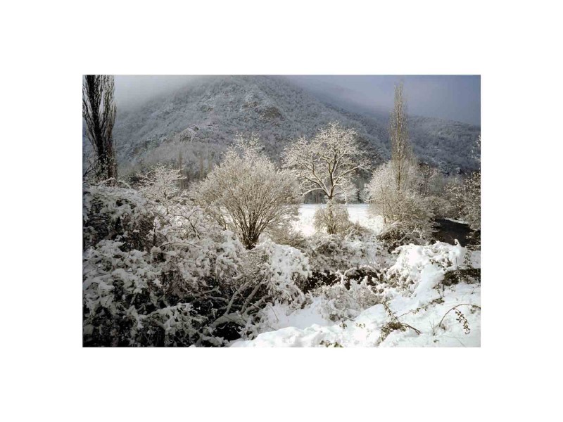 Inverno