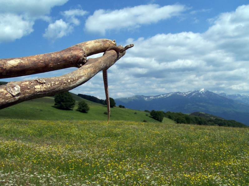 esposizione al sole