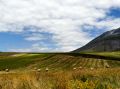 gara di scivolo
