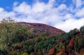 Autunno
