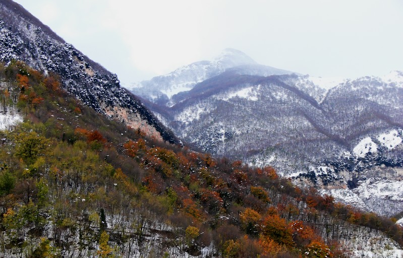 Garul�la 