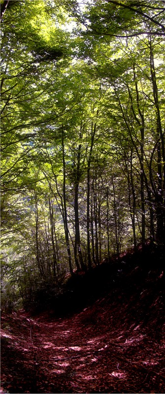 Valle Acquasanta