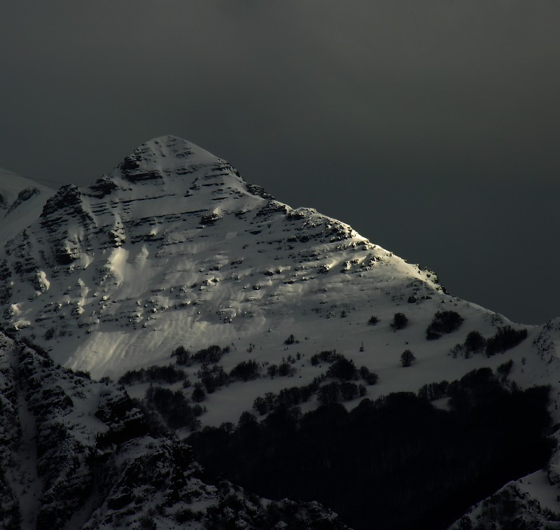 Monte Bicco