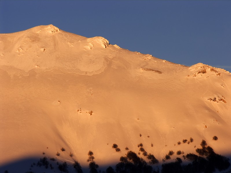 Argentella