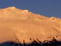 Argentella