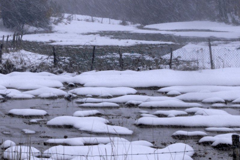 Nevicata
