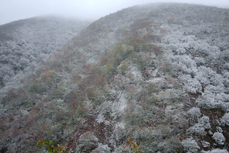 Prima neve