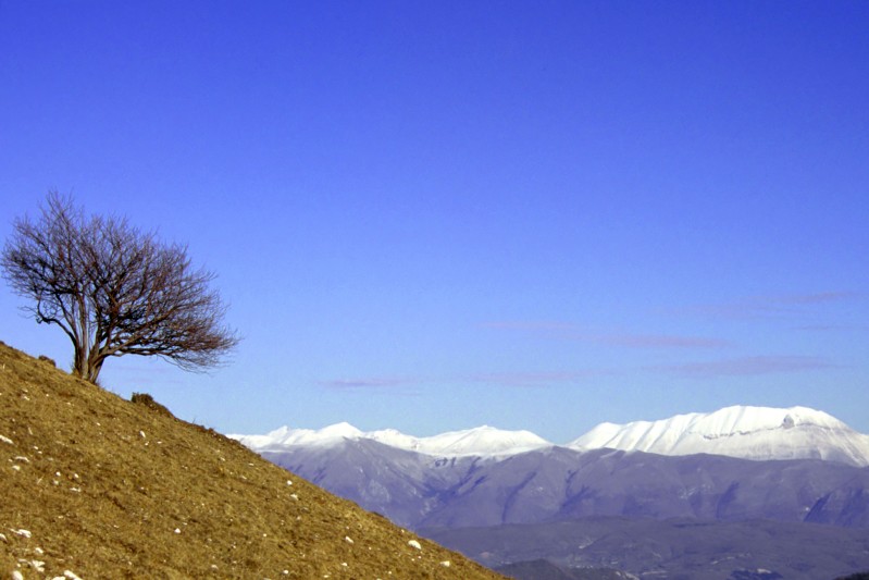 Sibillini