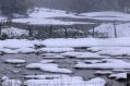 Nevicata