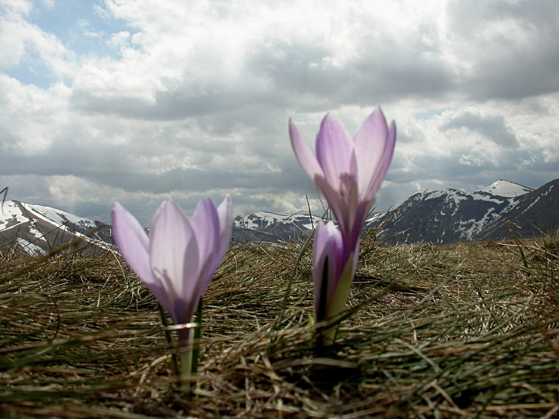 Verso il cielo