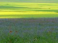 Sfumature di colore