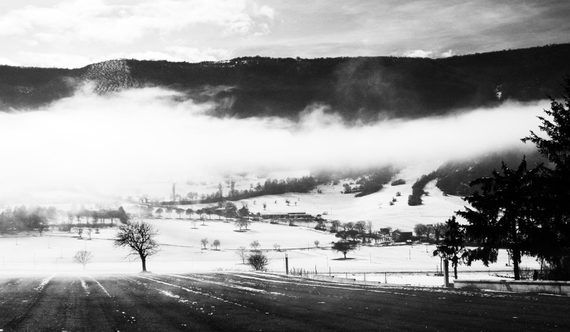 Nebbia