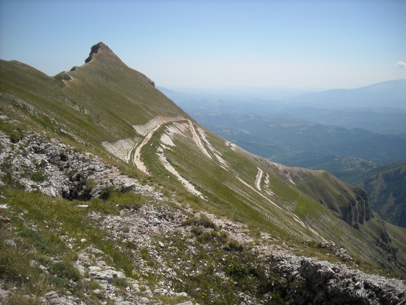 La sottigliezza della Sibilla