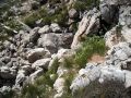 I massi che ostruiscono l'ingresso della grotta
