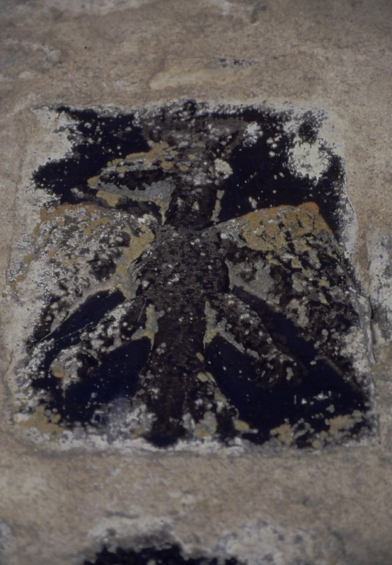 Grifone di Castelluccio