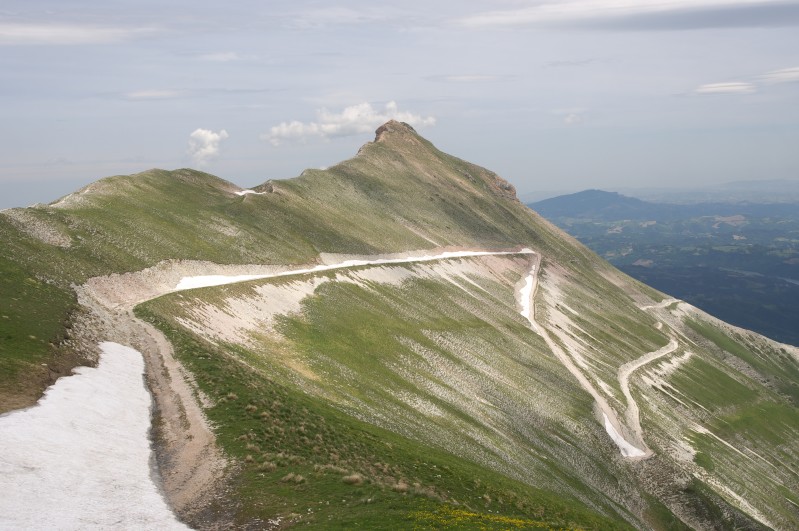 La Sibilla ferita