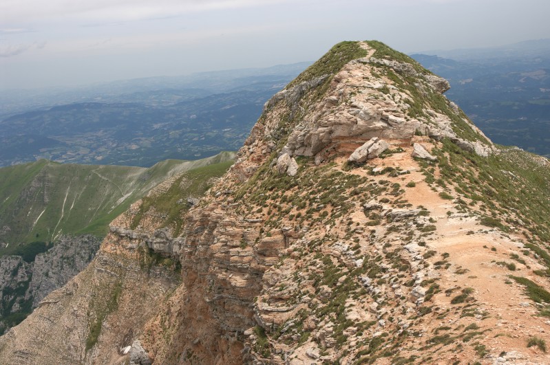 La cima