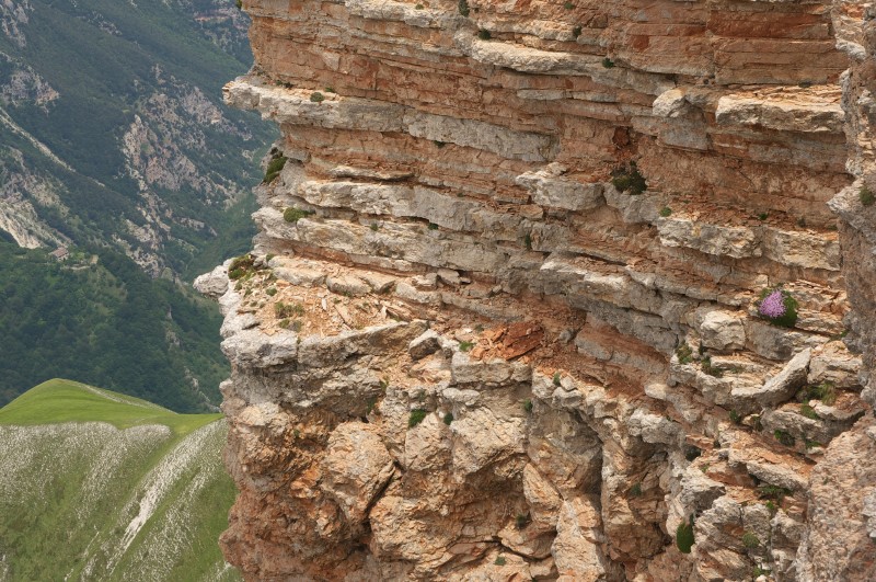  Roccia e vita sull'abisso