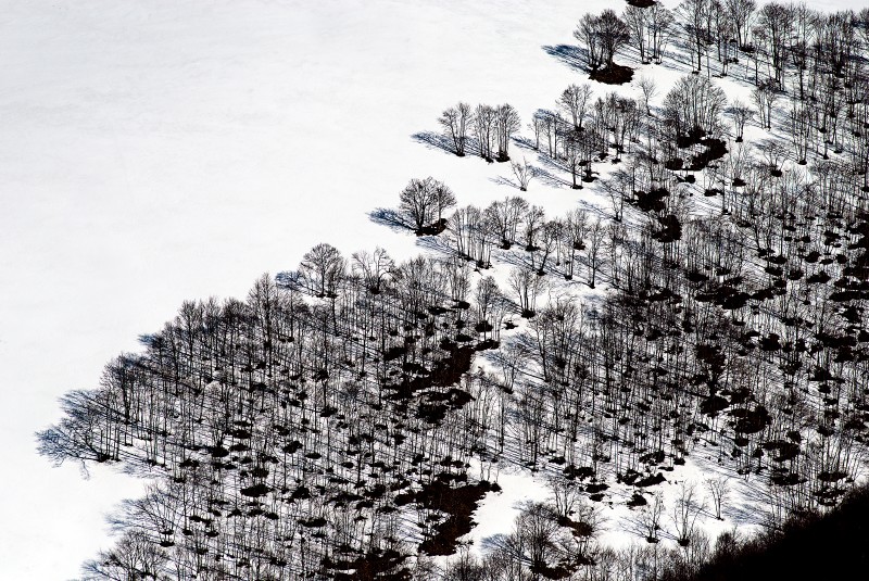 Grafismi dal Monte Lieto