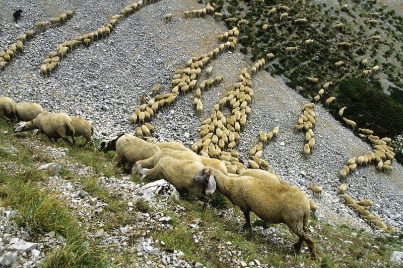 Sul sentiero delle fate
