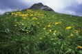 La Sibilla in primavera