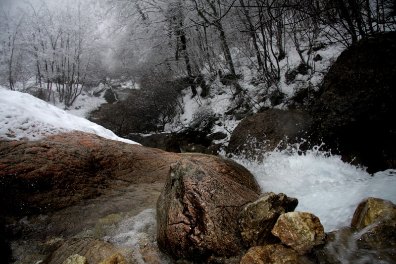 L'acqua e il culto del femminio