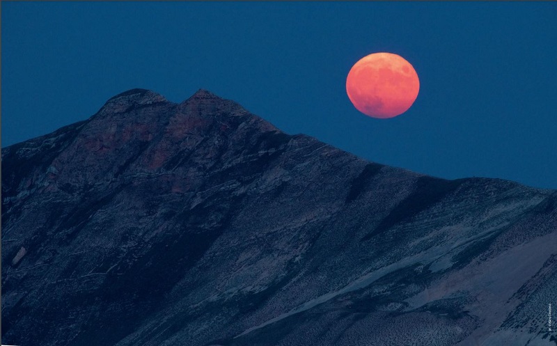 FOTO DEL CALENDARIO DEL PARCO - MESE DI APRILE