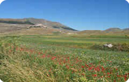 route landscape