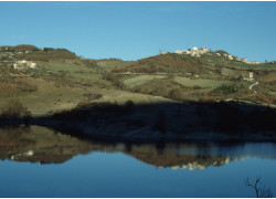 photo of the trail