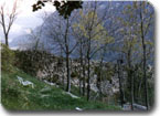 Castello dei Da Varano