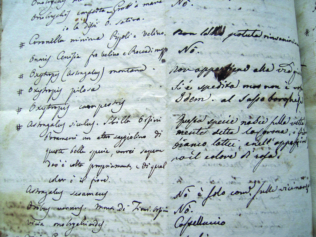 Corrispondenza botanica tra Ernesto Mauri ed Antonio Orsini.