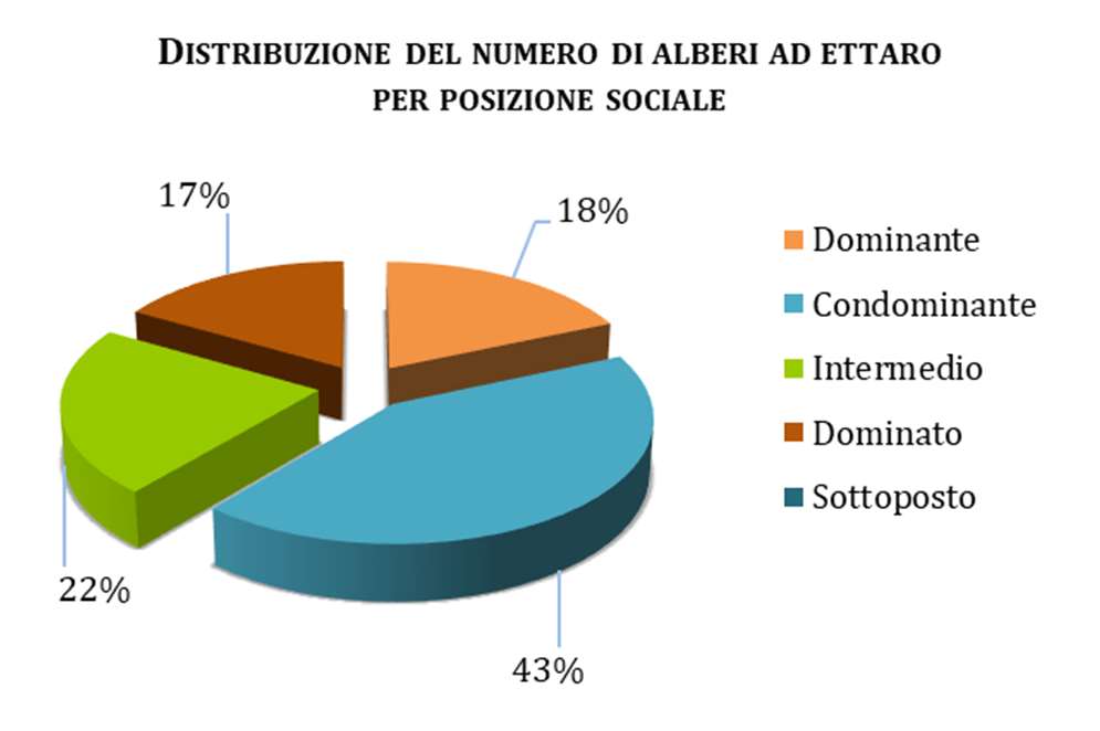 Distribuzione del numero di alberi ad ettaro per posizione sociale