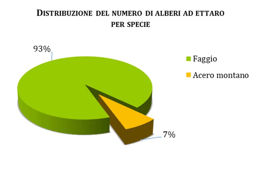 Distribuzione del numero di alberi ad ettaro per specie