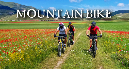 vai alla pagina mountain bike