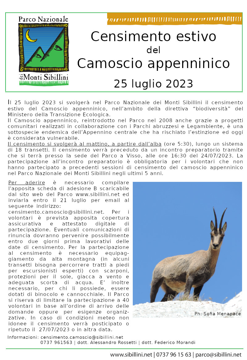 Censimento estivo del camoscio appenninico 
25 luglio 2023

	Il 25 luglio 2023 si svolgerà nel Parco Nazionale dei Monti Sibillini il censimento estivo del Camoscio appenninico, nell’ambito della direttiva “biodiversità” del Ministero della Transizione Ecologica. 
Il Camoscio appenninico, reintrodotto nel Parco nel 2008 anche grazie a progetti comunitari realizzati in collaborazione con i Parchi abruzzesi e la Legambiente, è una sottospecie endemica dell’Appennino centrale che ha rischiato l’estinzione ed oggi è considerata vulnerabile. 

Il censimento si svolgerà al mattino, a partire dall’alba (ore 5:30), lungo un sistema di 18 transetti. Il censimento verrà preceduto da un incontro preparatorio tramite che si terrà presso la sede del Parco a Visso, alle ore 16:30 del 24/07/2023. La partecipazione all’incontro preparatorio è obbligatorio per i volontari che non hanno partecipato a precedenti sessioni di censimento del camoscio appenninico nel Parco Nazionale dei Monti Sibillini negli ultimi 5 anni.

Per aderire è necessario compilare l'apposita scheda di adesione B scaricabile dal sito web del Parco www.sibillini.net ed inviarla entro il 21 luglio per email all'indirizzo censimento.camoscio@sibillini.net. Per i volontari è prevista apposita copertura assicurativa e attestato digitale di partecipazione. Eventuali comunicazioni di rinuncia dovranno pervenire possibilmente entro due giorni prima lavorativi delle date di censimento.

Per la partecipazione al censimento è necessario equipaggiamento da alta montagna (in alcuni transetti bisogna percorrere tratti a piedi per escursionisti esperti) con scarponi, protezioni per il sole, giacca a vento e adeguata scorta di acqua. E’ inoltre necessario, per chi li possiede, essere dotati di binocolo e cannocchiale.

Il Parco si riserva di limitare la partecipazione dei volontari a un numero massimo di 40 in base all’ordine di arrivo delle domande oppure di requisiti utili alle esigenze organizzative.

In caso di condizioni meteorologiche non idonee il censimento verrà posticipato o ripetuto il giorno 27/07/2023 o in altra data.

Per informazioni è possibile scrivere a censimento.camoscio@sibillini.net oppure contattare telefonicamente il dott. Alessandro Rossetti o il dott. Federico Morandi (0737 961563).

