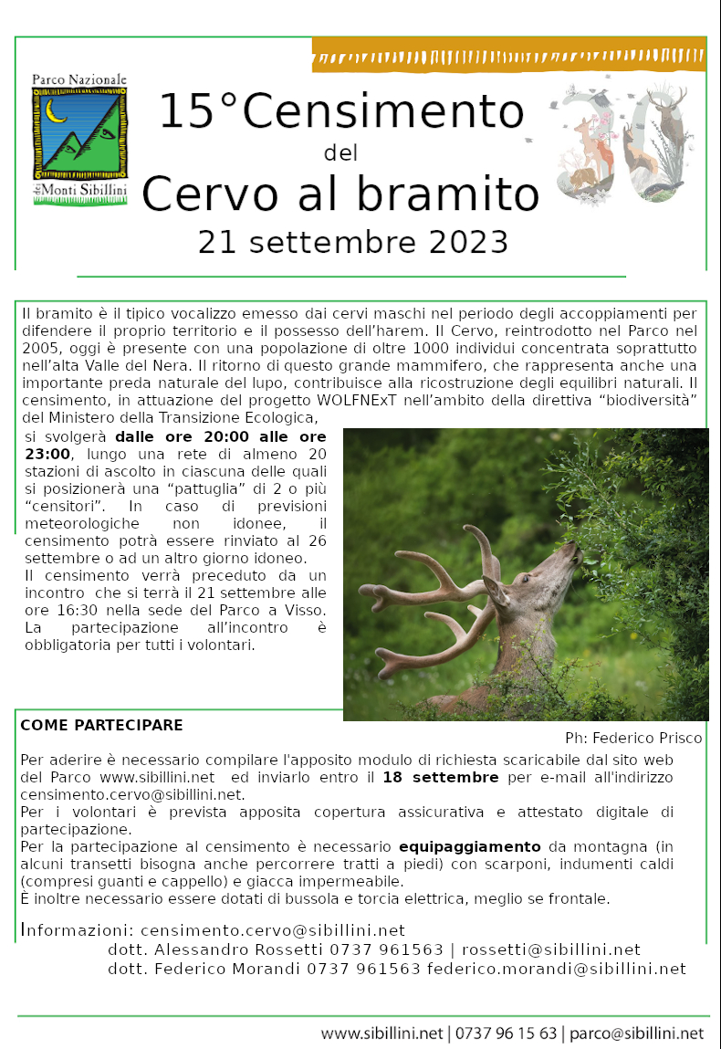  15° Censimento del cervo al bramito nel Parco Nazionale 
               dei Monti Sibillini 2023

Il 21 settembre 2023 si svolgerà nel Parco Nazionale dei Monti Sibillini il 15° 
censimento del cervo al bramito, in attuazione del progetto WOLFNExT nell’ambito
della direttiva “biodiversità” del Ministero della Transizione Ecologica. 
Il bramito è il tipico vocalizzo emesso dai cervi maschi nel periodo degli accoppiamenti
per difendere il proprio territorio e il possesso dell’harem.
Il Cervo, reintrodotto nel Parco nel 2005, oggi è presente con una popolazione di
oltre 1000 individui concentrata soprattutto nell’alta Valle del Nera. Il ritorno
di questo grande mammifero, che rappresenta anche una importante preda naturale
del lupo, contribuisce alla ricostruzione degli equilibri naturali. 

Il censimento si svolgerà la sera, dalle ore 20:00 alle ore 23:00, lungo una rete
di almeno 20 stazioni di ascolto in ciascuna delle quali si posizionerà una 
“pattuglia” di 2 o più “censitori”. In caso di previsioni meteorologiche non 
idonee il censimento potrà essere rinviato al 26 settembre o ad un altro giorno
idoneo.  Il censimento verrà preceduto da un incontro preparatorio che si terrà
il 21 settembre alle ore 16:30 nella sede del Parco a Visso. La partecipazione
all’incontro è obbligatoria per i volontari che non hanno partecipato a 
precedenti sessioni di censimento del cervo nel Parco Nazionale dei Monti Sibillini.

Per aderire è necessario compilare l'apposito modulo di richiesta scaricabile 
dal sito web del Parco www.sibillini.net ed inviarlo entro il 18 settembre per
email all'indirizzo censimento.cervo@sibillini.net. Per i volontari è prevista
apposita copertura assicurativa e attestato digitale di partecipazione. 

Per la partecipazione al censimento è necessario equipaggiamento da montagna 
(in alcuni transetti bisogna anche percorrere tratti a piedi) con scarponi, 
indumenti caldi (compresi guanti e cappello) e giacca impermeabile. E' inoltre
necessario essere dotati di bussola e torcia elettrica, meglio se frontale. 

Per informazioni è possibile scrivere a censimento.cervo@sibillini.net oppure 
contattare telefonicamente il dott. Alessandro Rossetti (0737 961563; rossetti@sibillini.net)
o il dott. Federico Morandi (0737 961563; federico.morandi@sibillini.net). 



