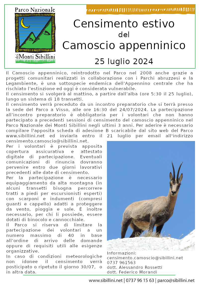 Censimento estivo del camoscio appenninico 
25 luglio 2024

	Il 25 luglio 2024 si svolgerà nel Parco Nazionale dei Monti Sibillini il censimento estivo del Camoscio appenninico, nell’ambito della direttiva “biodiversità” del Ministero della Transizione Ecologica. 
Il Camoscio appenninico, reintrodotto nel Parco nel 2008 anche grazie a progetti comunitari realizzati in collaborazione con i Parchi abruzzesi e la Legambiente, è una sottospecie endemica dell’Appennino centrale che ha rischiato l’estinzione ed oggi è considerata vulnerabile. 

Il censimento si svolgerà al mattino, a partire dall’alba (ore 5:30), lungo un sistema di 18 transetti. Il censimento verrà preceduto da un incontro preparatorio tramite che si terrà presso la sede del Parco a Visso, alle ore 16:30 del 24/07/2024. La partecipazione all’incontro preparatorio è obbligatoria per i volontari che non hanno partecipato a precedenti sessioni di censimento del camoscio appenninico nel Parco Nazionale dei Monti Sibillini negli ultimi 5 anni.

Per aderire è necessario compilare l'apposita scheda di adesione B scaricabile dal sito web del Parco www.sibillini.net ed inviarla entro il 21 luglio per email all'indirizzo censimento.camoscio@sibillini.net. Per i volontari è prevista apposita copertura assicurativa e attestato digitale di partecipazione. Eventuali comunicazioni di rinuncia dovranno pervenire possibilmente entro due giorni prima lavorativi delle date di censimento.

Per la partecipazione al censimento è necessario equipaggiamento da alta montagna (in alcuni transetti bisogna percorrere tratti a piedi per escursionisti esperti) con scarponi, protezioni per il sole, giacca a vento e adeguata scorta di acqua. E’ inoltre necessario, per chi li possiede, essere dotati di binocolo e cannocchiale.

Il Parco si riserva di limitare la partecipazione dei volontari a un numero massimo di 40 in base all’ordine di arrivo delle domande oppure di requisiti utili alle esigenze organizzative.

In caso di condizioni meteorologiche non idonee il censimento verrà posticipato o ripetuto il giorno 30/07/2024 o in altra data.

Per informazioni è possibile scrivere a censimento.camoscio@sibillini.net oppure contattare telefonicamente il dott. Alessandro Rossetti o il dott. Federico Morandi (0737 961563).

