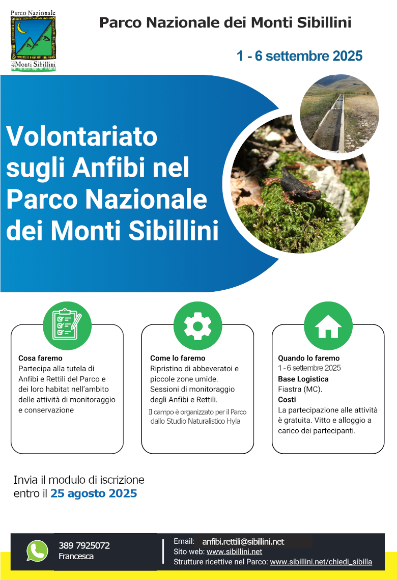 CAMPO DI VOLONTARIATO PER LA CONSERVAZIONE DEGLI ANFIBI 
                NEL PARCO NAZIONALE DEI MONTI SIBILLINI 2025
                Dall'1 al 6 settembre 2025 con base a Fiastra, lo Studio Naturalistico
                Hyla organizza per conto del Parco Nazionale dei Monti Sibillini un 
                campo di volontariato per il monitoraggio e la conservazione degli 
                anfibi e rettili, grazie al ripristino di abbeveratoi e piccole zone umide.
                La partecipazione alle attività è gratuita, i costi di vitto e 
                alloggio sono a carico dei partecipanti.
                Per informazioni: Francesca tel. 3897925072 o email: anfibi.rettili@sibillini.net
                L'iscrizione scade il 25 agosto 2025