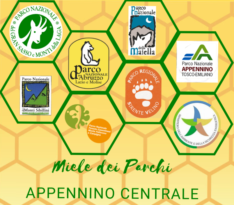 CONCORSO PER IL MIGLIOR MIELE DEI PARCHI DELL’APPENNINO

EDIZIONE 2025

REGOLAMENTO DI PARTECIPAZIONE

Il Concorso per il miglior mieli dei Parchi dell’Appennino 2025 è organizzato dal Parco Nazionale del Gran Sasso e Monti della Laga, Parco Nazionale d’Abruzzo, Lazio e Molise, Parco Nazionale delle Maiella, Parco Regionale Sirente Velino, Parco Nazionale dei Monti Sibillini, Parco Nazionale delle Foreste Casentinesi e Parco Nazionale dell’Appennino Tosco Emiliano.

Il concorso si prefigge come scopo principale quello di valorizzare ed esaltare le qualità dei mieli prodotti all’interno delle aree protette appenniniche.

L’iniziativa si inserisce nell’ambito delle celebrazioni dei 30 anni dalla fondazione del Parco Nazionale del Gran Sasso e Monti della Laga.

Mielinfesta e la premiazione del Concorso per il miglior miele dei Parchi dell’Appennino si terrà ad Assergi (AQ) presso il Parco Nazionale del Gran Sasso e Monti della Laga il prossimo 15 novembre 2025.

Possono partecipare gli apicoltori considerati dalla normativa vigente come imprenditori semi-professionisti e che abbiano la sede legale della ditta e/o sede del laboratorio di trasformazione in uno dei Comuni dei Parchi Appenninico.

Al fine di incentivare l’attività apistica e valorizzare anche la piccola apicoltura familiare, al concorso sono ammessi anche gli apicoltori hobbisti che saranno valutati in maniera anonima con gli altri campioni. Per i mieli di questa tipologia sono previsti speciali riconoscimenti da parte della giuria

Per partecipare al Concorso per la selezione dei migliori mieli prodotti all’interno dei Parchi, gli interessati dovranno far pervenire, entro e non oltre le ore 13 del 3 ottobre 2025,

I campioni da consegnare sono n. 4 vasetti da almeno 250 g ciascuno, anonimi e senza etichetta e/o elementi distintivi.

La commissione del concorso è costituita da Esperti in Analisi Sensoriale del Miele che si riunirà l’8 novembre 2025.

Le categorie in concorso si distinguono quindi in:

Miele Millefiori (fino ad 800 metri slm)
Miele Millefiori di montagna (oltre 800 metri slm)
Mieli uniflorali e particolari dell’Appennino
 Di seguito si allegano: il Regolamento del concorso e la scheda di partecipazione.

